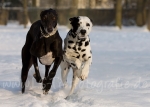 33 Der erste Schnee